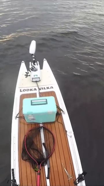 Самое заветное желание! #рыбалка смотреть онлайн