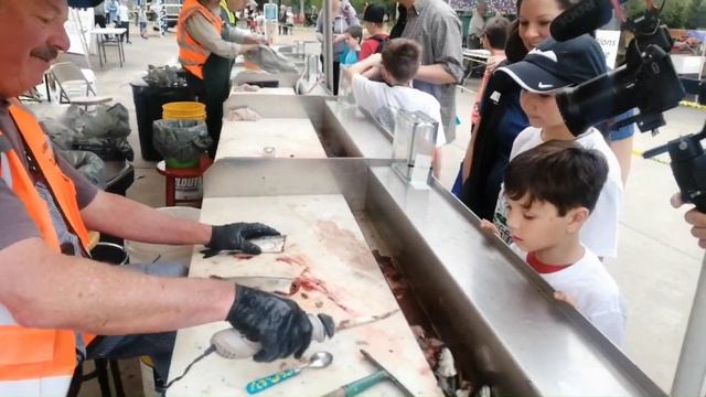 Детская рыбалка не по-детски