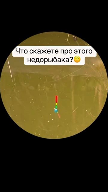 Сказочный рыбак.#улов #рассказ #рыбалка #рыболов #прикл смотреть онлайн