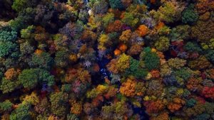 4К ПРИРОДА ЗАСТАВКА ФОН 4K NATURE