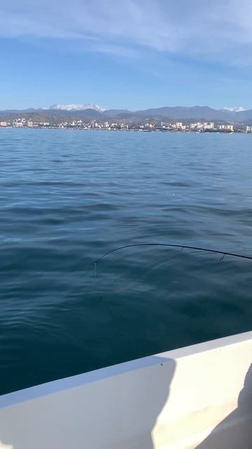 Ставрида. Рыбалка в Сочи. #fishing #рыболовныйгид #сочимор? смотреть онлайн