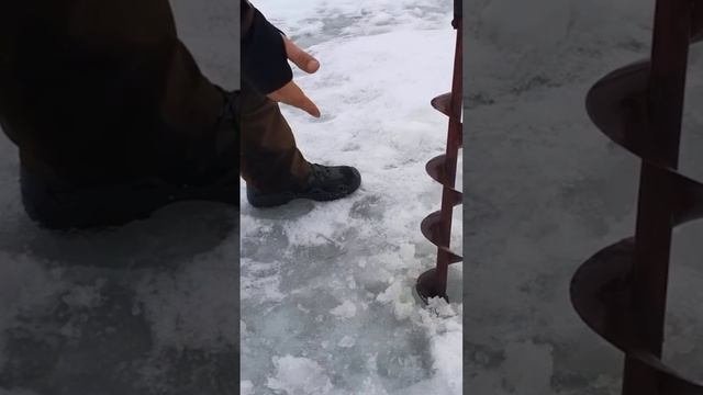 Провальная ЗИМНЯЯ РЫБАЛКА #выживалово #зимняярыбалка