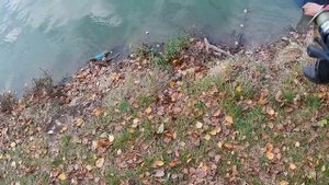 Ловля карася осенью. Что даст смена прикормки?
