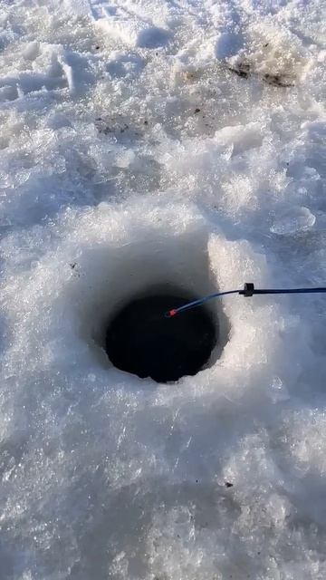 Рыбалка на ротон в Челябинске смотреть онлайн