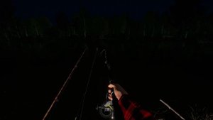 РР4 Фарм Точка клёва - Комариное - Трофейный Окунь, Ерш -