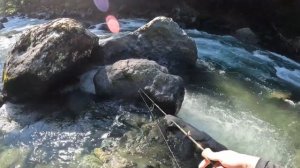 БЕЗУМНЫЙ КЛЕВ. Дикая форель осенью в горной реке (4K)