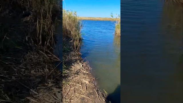 Рыбалка на щуку в конце сентября 2022. 🎣 #рыбалка #реком? смотреть онлайн