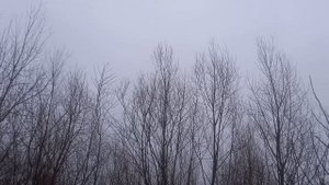 Жуки 5 сезон 1 серия дата вихода