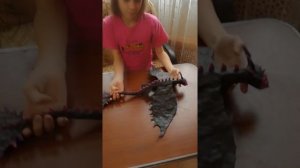 Ночная фурия.