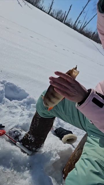 Рыбалка на Пяку Пуре, больше фото и видео у меня в теле? смотреть онлайн