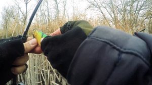 Рыбалка в ноябре. Ловля щуки. Джерки и резина. День 3.