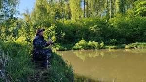 Ловля БЕЛОГО АМУРА на корку хлеба