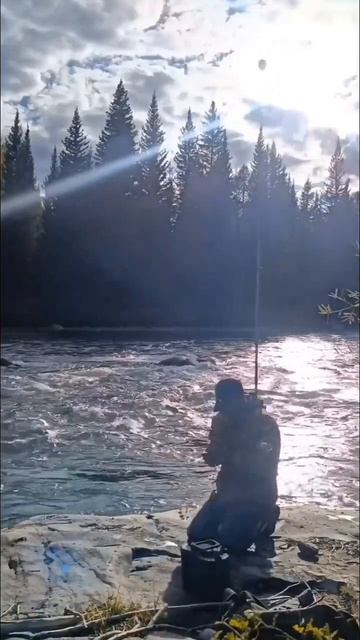 Горный хариус 🐟 Алтай смотреть онлайн