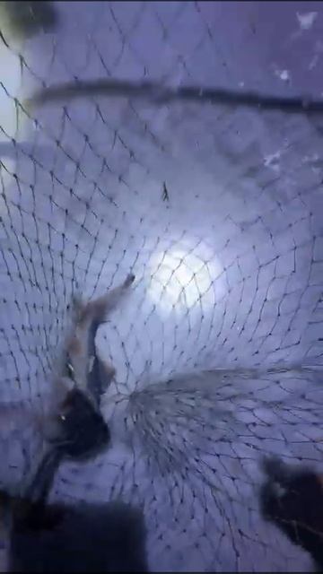 28 октября 2023 г. смотреть онлайн