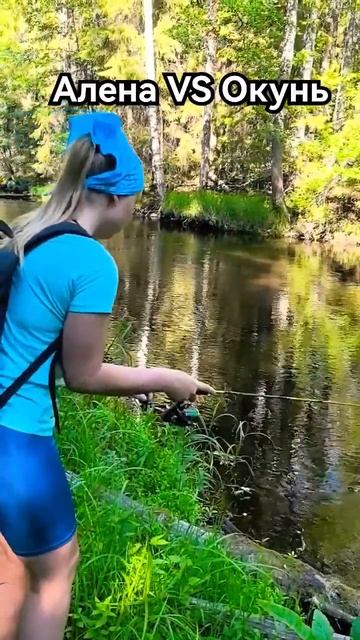 Алена VS Окунь #fishing #2024 #рыбалка смотреть онлайн