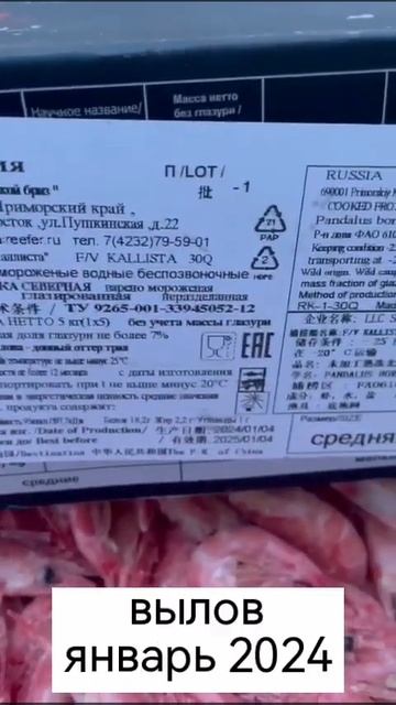 Креветка Магаданская глубоководная, размер 70/90, вылов смотреть онлайн