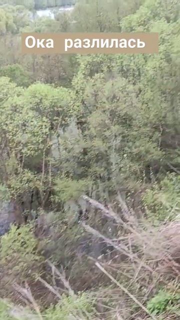 Разлив Оки Спасский район с. Исады 2024г. смотреть онлайн