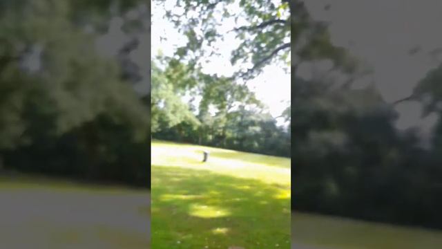 Обзор-на БАССЕЙН 🤠😱!|И Проверка развлечений в нём😂? смотреть онлайн