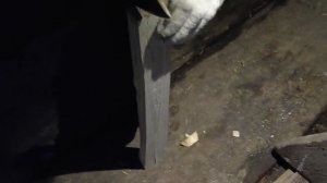 На чердаке дым, первый раз топим русскую печь.