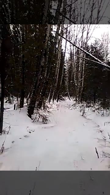 Сибирь таежная смотреть онлайн