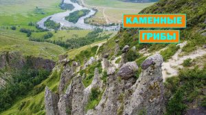 Каменные грибы. Алтай.