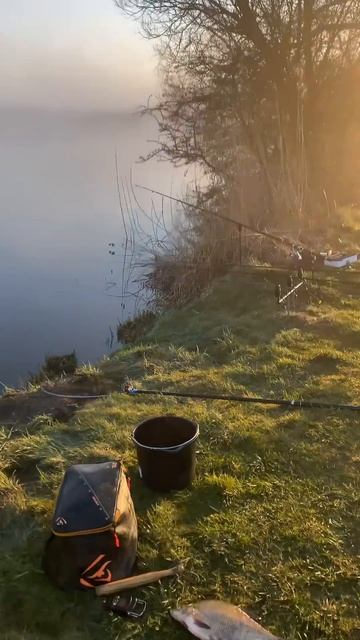 Результат утренней рыбалки на леща #fishing #рыбалканаозе смотреть онлайн