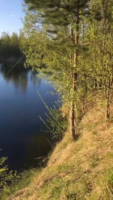 Рыбалка! #eva #дочка #детивидео #папа_и_дочь #shortvideo #дети #? смотреть онлайн