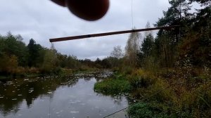 Рыбалка на ЭКРАНЫ. Поиск РЫБЫ по старым и новым местам.