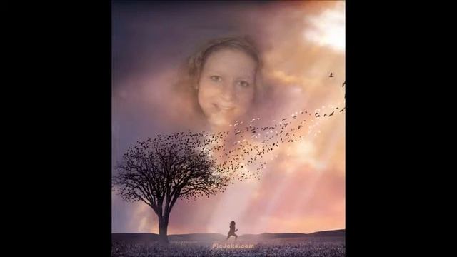 Марсель-она.wmv смотреть онлайн