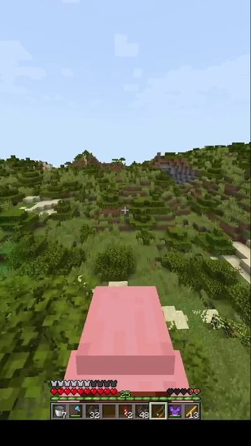 Бегает весело по полю кабанчик в #майнкрафт смотреть онлайн