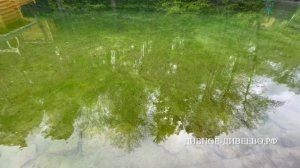 Вода, отражение и звуки на источниках в саровском лесу, запись май 2025