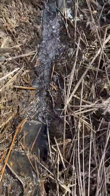 Всем рыбакам: где не ловиться рыба, езжайте сюда #рыбал смотреть онлайн