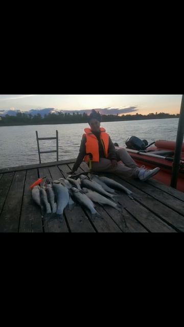 рыбалка в Астрахани смотреть онлайн
