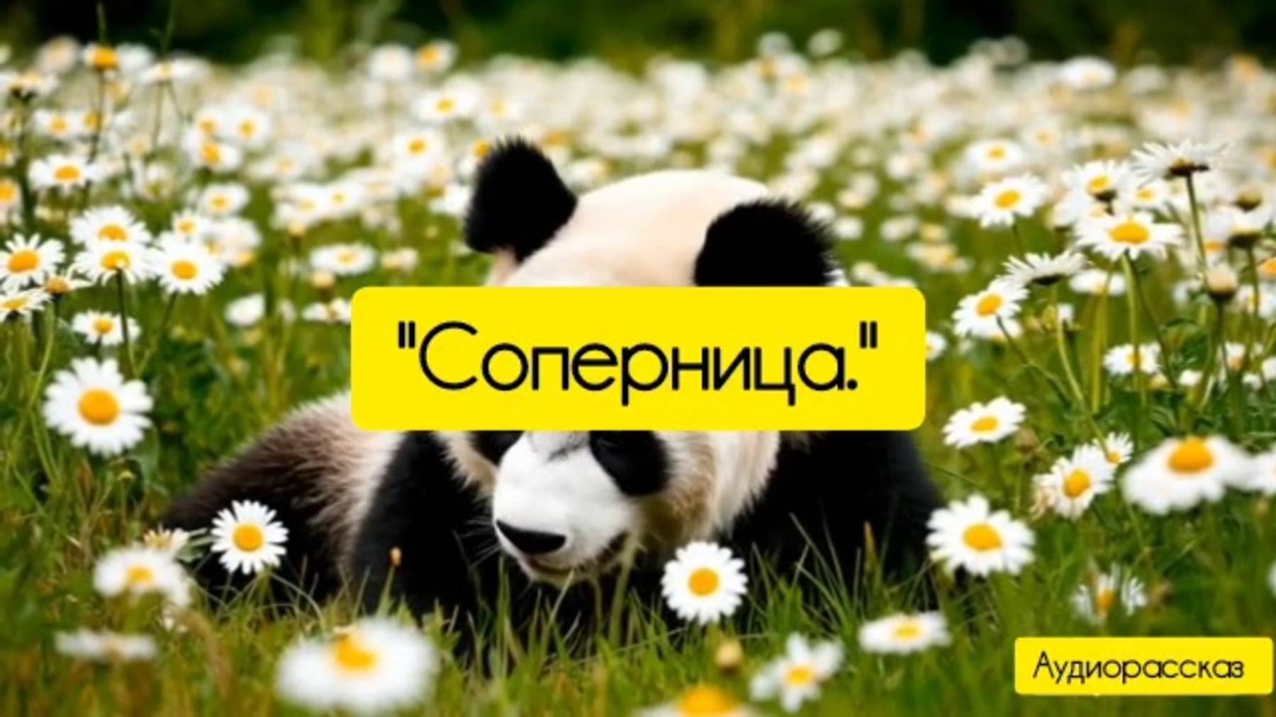 Соперница. Аудиорассказ.