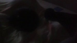 Мой кот любит хип-хоп
