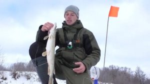 Ловля щуки на жерлицы. Ловля щуки на балансир. Рыбалка на реке. Костер, чай.