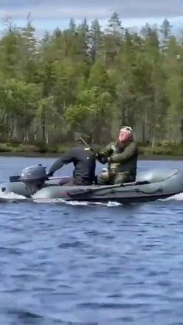 такого от них никто не ожидал 😁 #душакарелии#природа#? смотреть онлайн