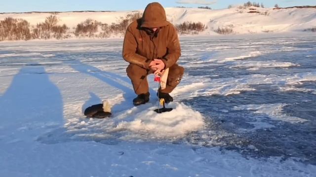 Давно я так не рыбачил.#рыбалка #fishing .руки болят.#щука #? смотреть онлайн