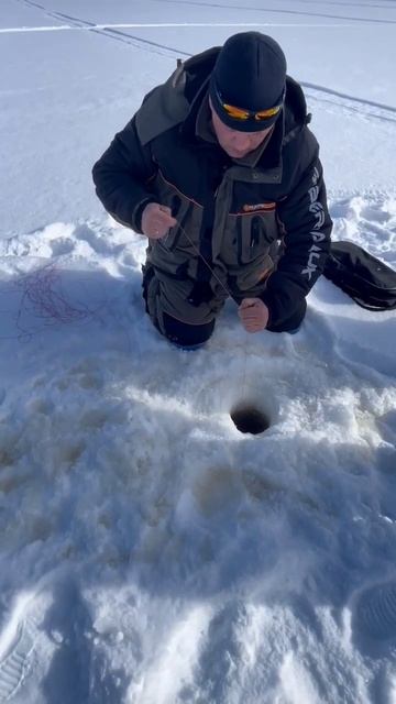 2024.03 Щучка на жерлице. Северная Карелия. смотреть онлайн