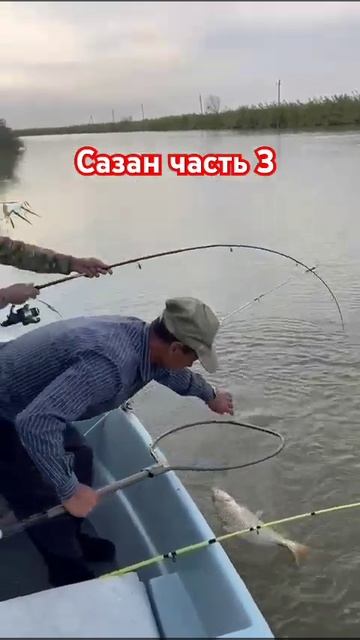 Астрахань Володарский 09.2024г #астрахань #рыбалка #с смотреть онлайн