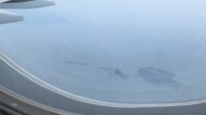 Аirbus A330-300 | Калининград - Санкт-Петербург |  “Nordwind Airlines | Kaliningrado-San Petersburgo