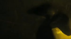 13 жизней (2022) смотреть онлайн бесплатно  в хорошем каче