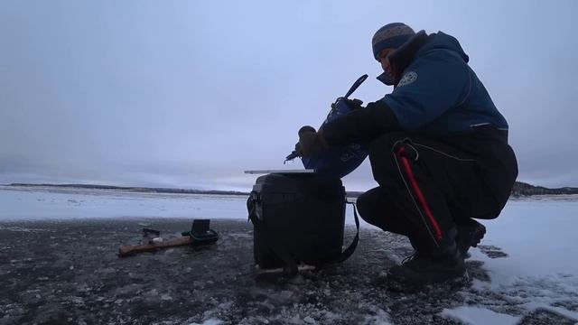ХАРИУСЫ, СИГИ, ОКУНИ, НАЛИМЫ НА ДУЖКУ ОТ ВЕДРА. Первый л смотреть онлайн