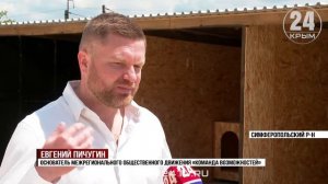 В Симферопольском районе появится приют для бездомных собак