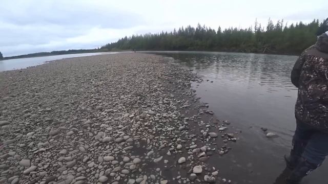 ОТОРВАЛИСЬ ПО ЩУКАМ ЯЗЯМ ОКУНЯМ.