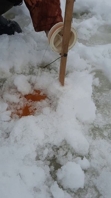 Рыбалка на жерлицы. Рыбалка 2024 смотреть онлайн