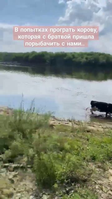 #youtube #блог #shorts #блогеры #ржач #семья #семейныйблог #юмо? смотреть онлайн