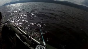 Рыбалка на Байкале с лодки. Ловим омуля. Бурятия. Сибир