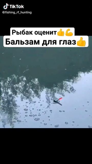 Ловля и поклевка карася весной 2024#рыбалка #карась #кар? смотреть онлайн