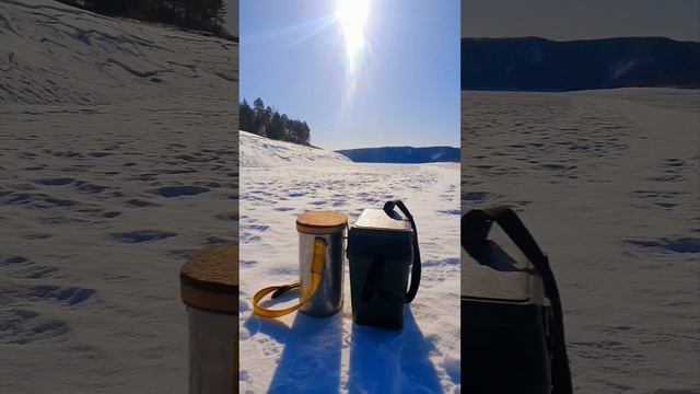 Улов🐟#трофей#рыбалк#еда#лес#подсекай #зима#тайга#яку? смотреть онлайн